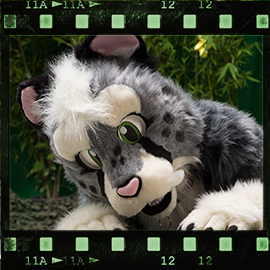 Eurofurence 2015 fursuit photoshoot. Preview picture of Sethaa, Boltee